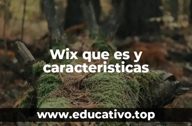 Wix que es y caracteristicas