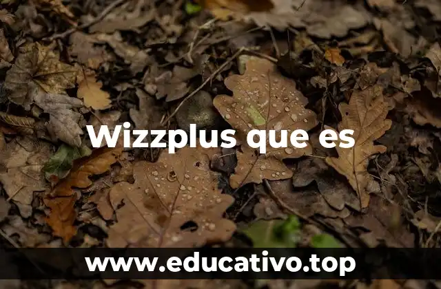 Wizzplus que es