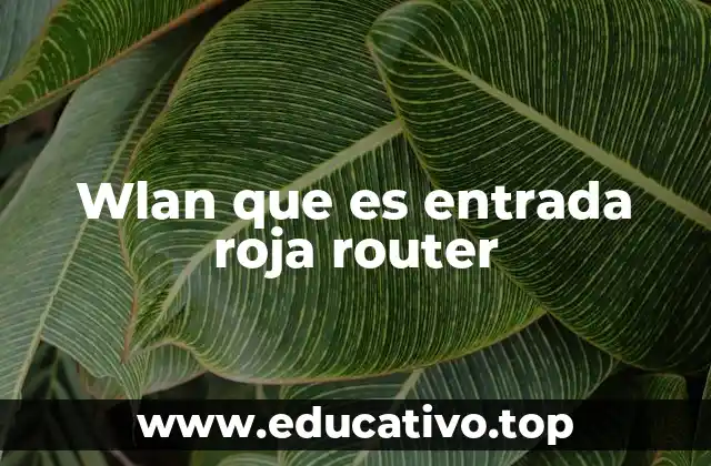 Wlan que es entrada roja router