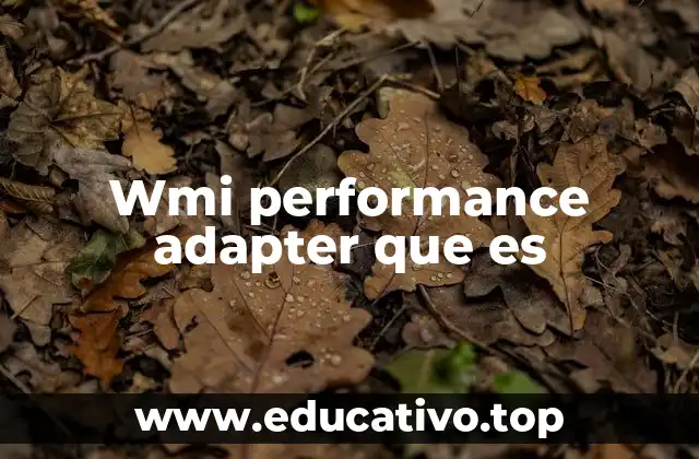 Wmi performance adapter que es