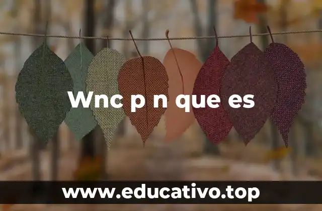 Wnc p n que es