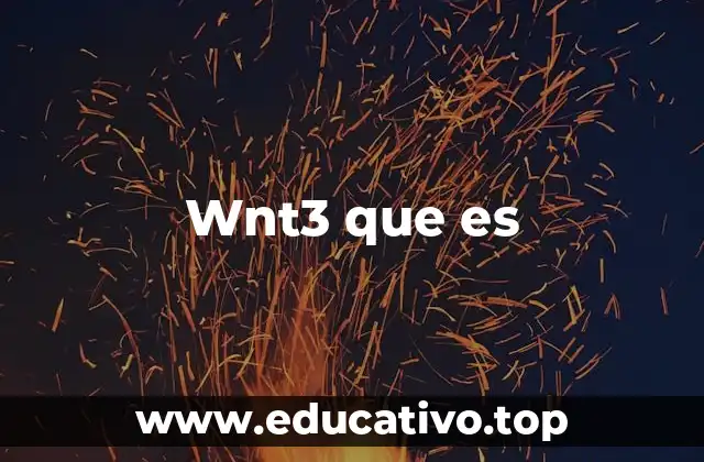 Wnt3 que es