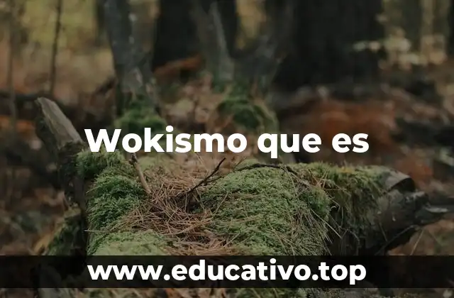 Wokismo que es