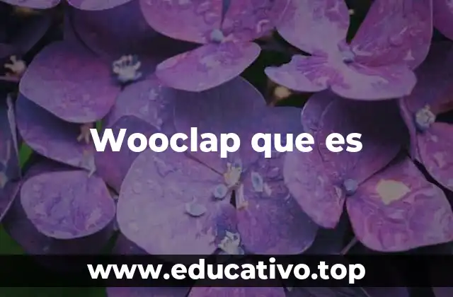 Wooclap que es