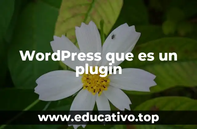 WordPress que es un plugin