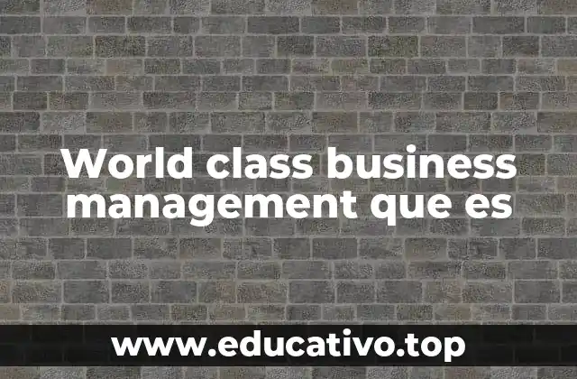 World class business management que es