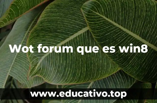 Wot forum que es win8