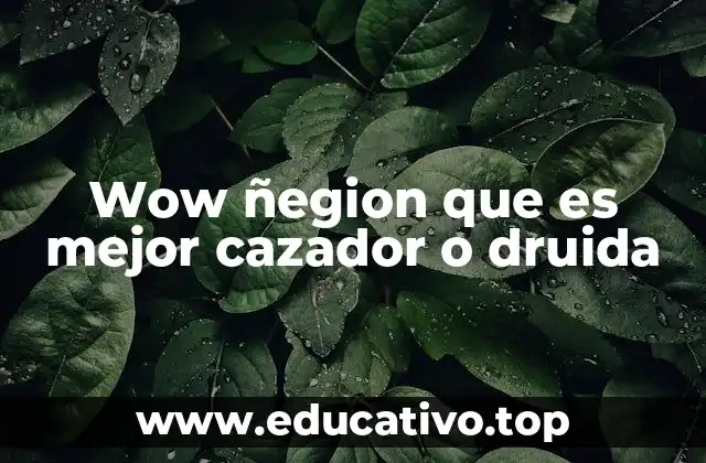 Ventajas y desventajas de cada clase en el contexto de Legion