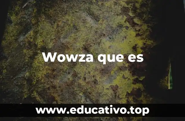 Wowza que es