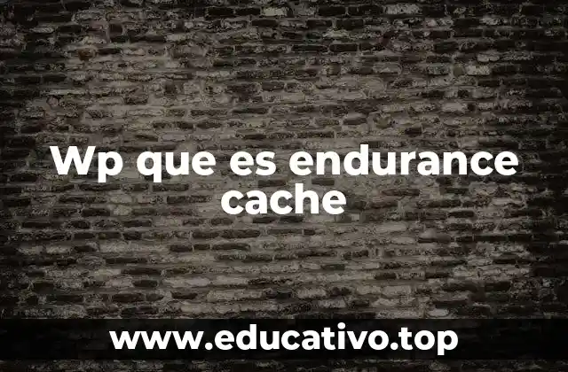 Wp que es endurance cache