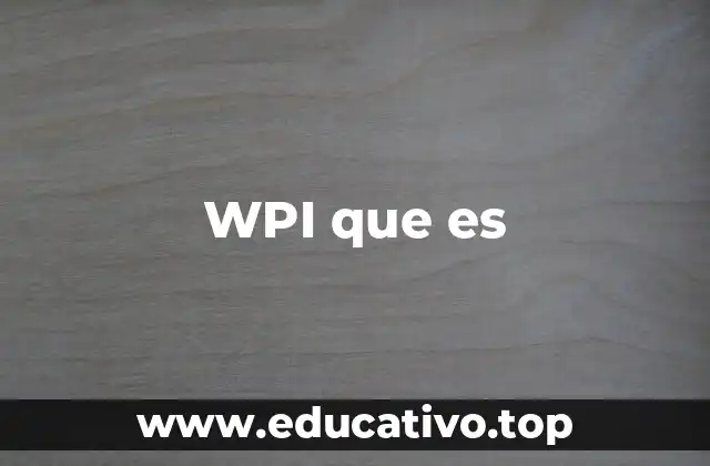 WPI que es