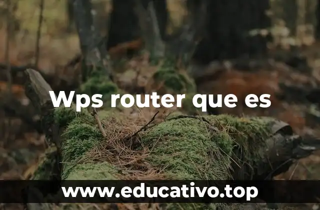 Wps router que es