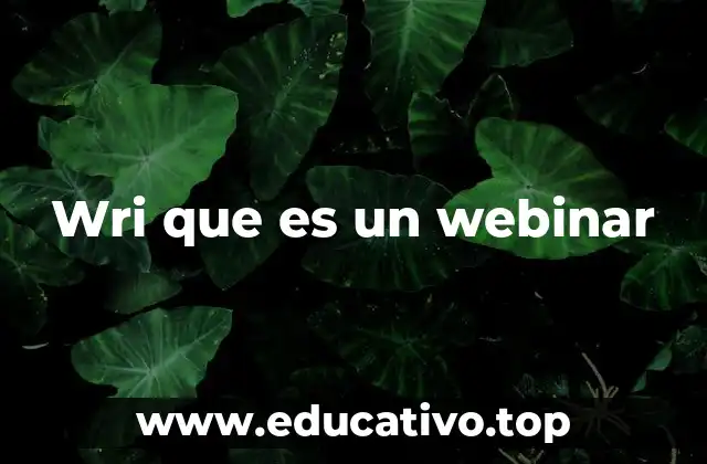 Wri que es un webinar