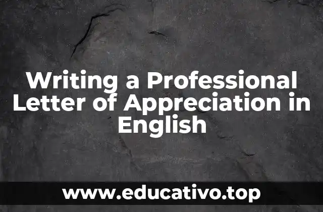 Writing a Professional Letter of Appreciation in English
