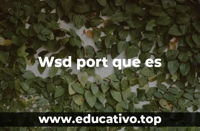Wsd port que es
