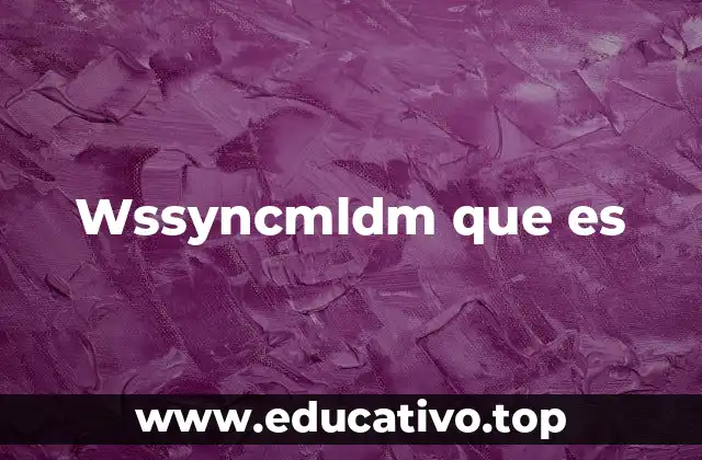 Wssyncmldm que es