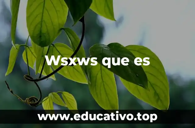 Wsxws que es
