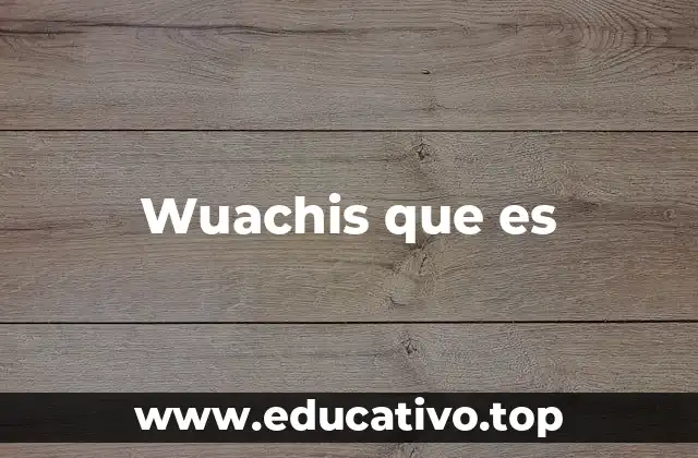 Wuachis que es