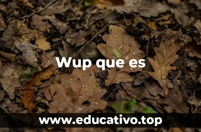 Wup que es