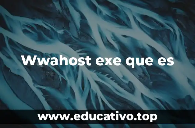 Características comunes de wwahost.exe y cómo identificarlo
