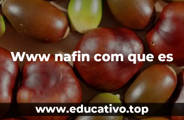 Www nafin com que es