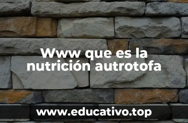 Www que es la nutrición autrotofa