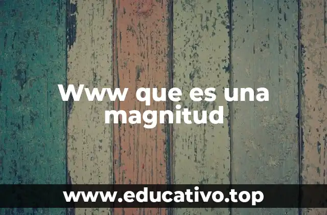 Www que es una magnitud