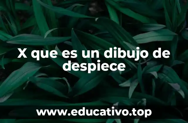 X que es un dibujo de despiece