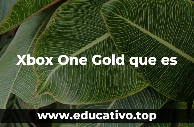Xbox One Gold que es