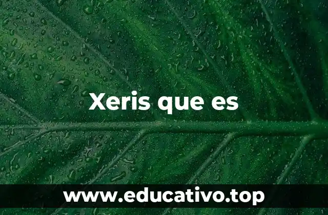 Xeris que es