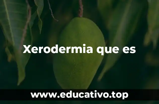 Xerodermia que es
