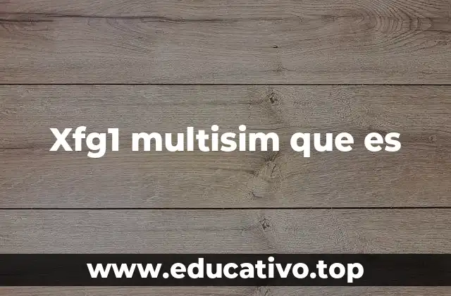 Xfg1 multisim que es