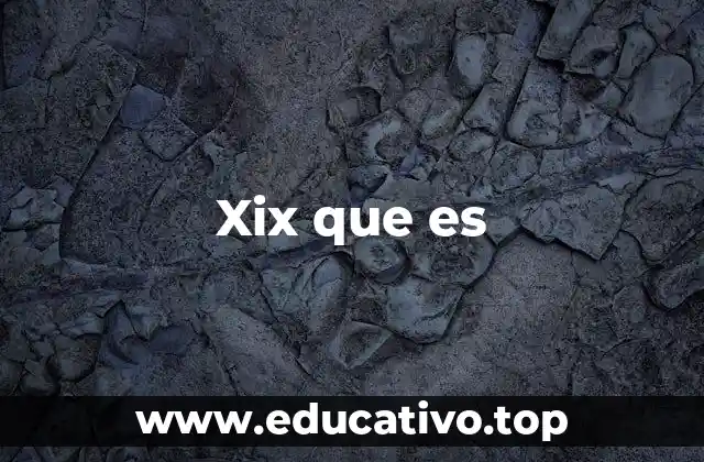 Xix que es