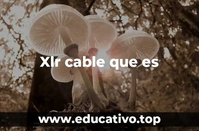 Xlr cable que es