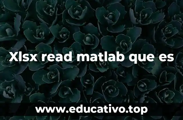 Xlsx read matlab que es