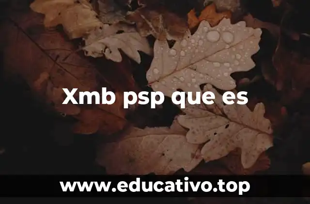 Xmb psp que es