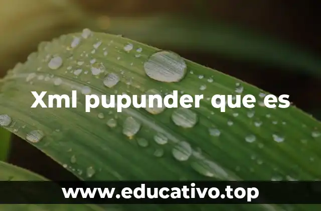 Xml pupunder que es