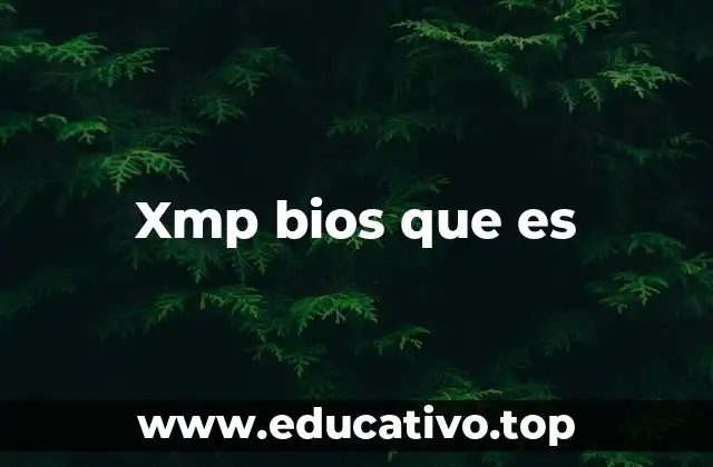 Xmp bios que es