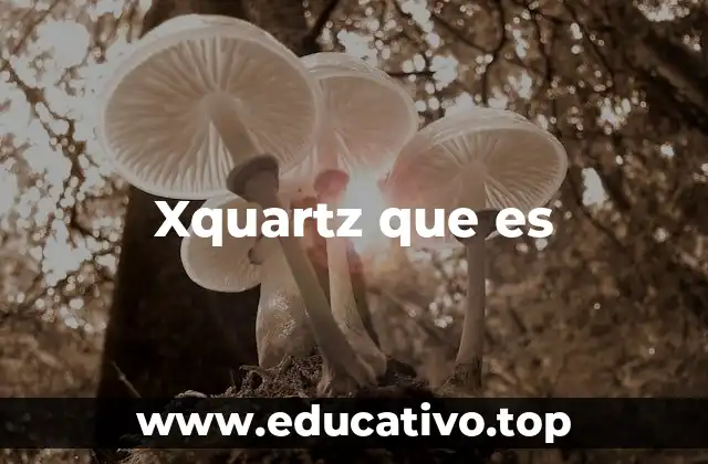 Xquartz que es