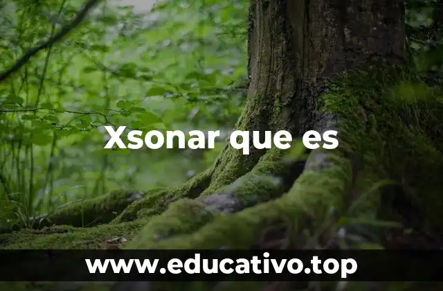 Xsonar que es