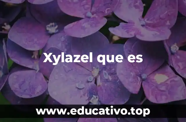 Xylazel que es