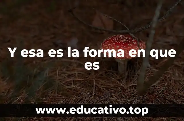 La frase en el contexto de la comunicación cotidiana