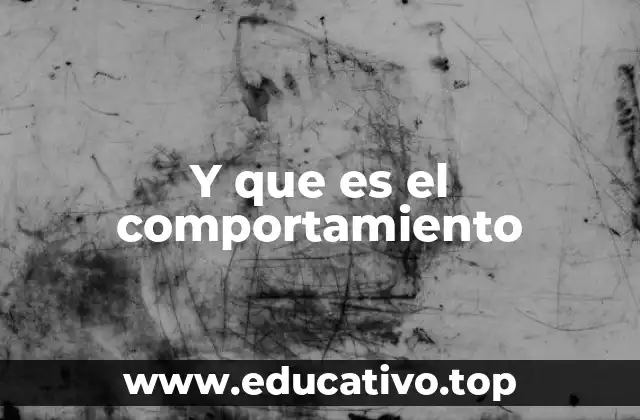 Y que es el comportamiento