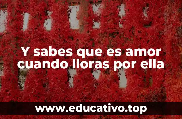 Y sabes que es amor cuando lloras por ella