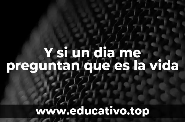 Y si un dia me preguntan que es la vida