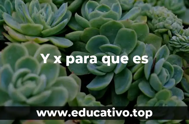 Y x para que es