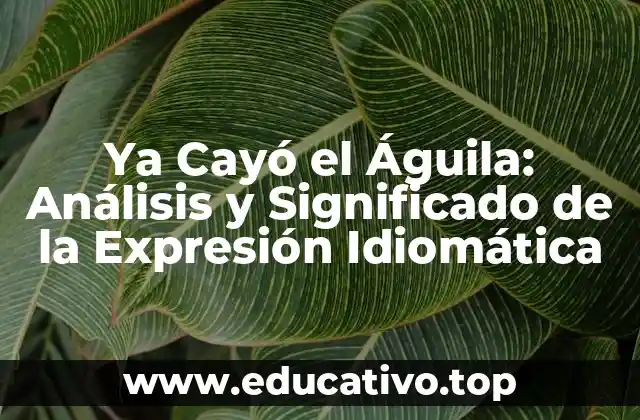 Ya Cayó el Águila: Análisis y Significado de la Expresión Idiomática