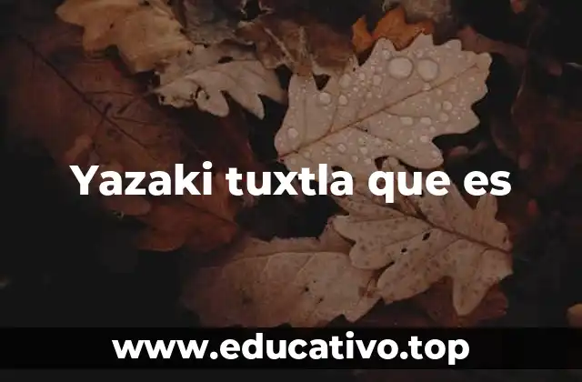 Yazaki tuxtla que es