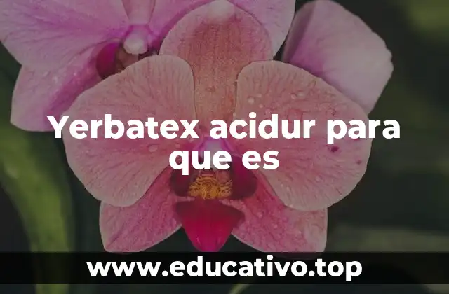 Yerbatex acidur para que es