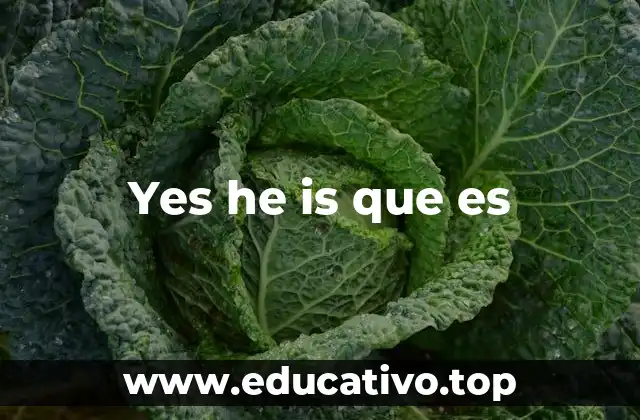 Yes he is que es